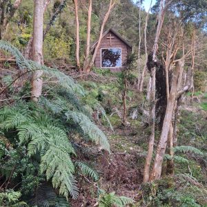 WhatsApp Image 2025-10-11 at 22.15.23